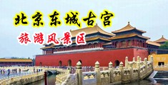 超碰抠bb中国北京-东城古宫旅游风景区